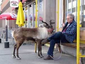 животные 021