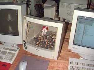 компьютер 034