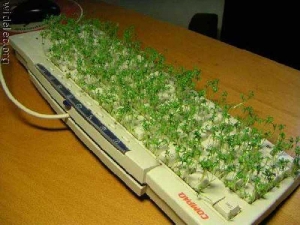 компьютер 037