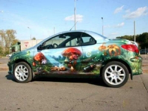 Аэрография 031