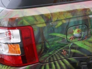 Аэрография 037