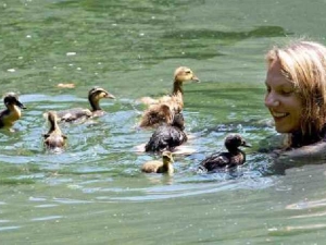 животные 057