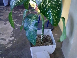 изобретения 027