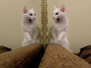 ������ 05