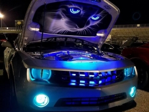 Аэрография 053