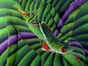 ����-��� 071