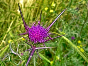 ������� 084