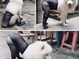 �������� 072