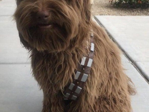 �������� 073