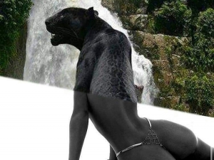 ������ 19